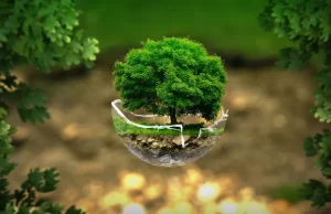 Día Mundial del Medio Ambiente-Beneficios de la naturaleza para el cuerpo
