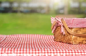 picnic en fuendetodos